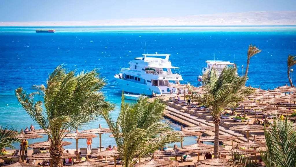 الفندق سى جل ريزورت - الغردقة